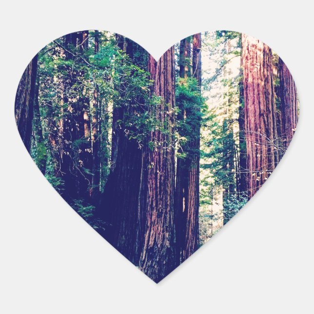 Pegatina En Forma De Corazón secuoyas de California (Anverso)