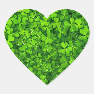 Pegatina En Forma De Corazón Shamrock Clovers Green Irish Symbol Irlanda