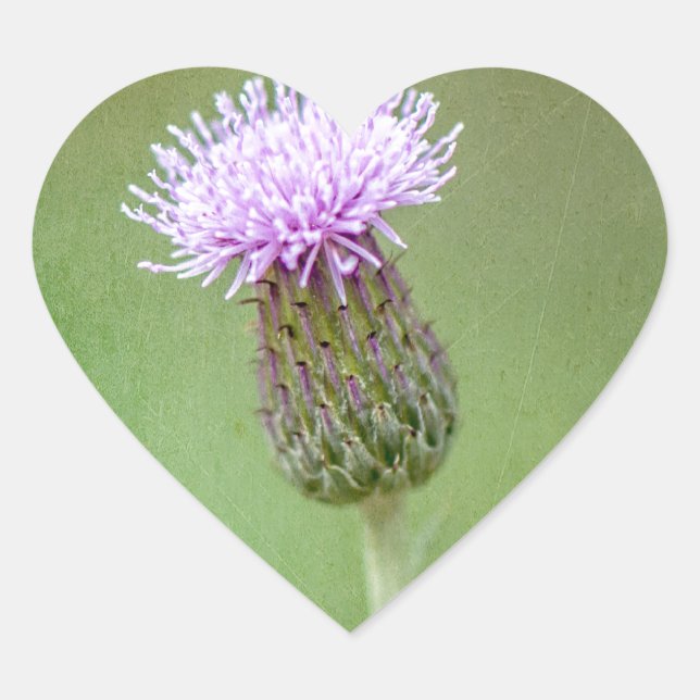 Pegatina En Forma De Corazón Silbato (Anverso)