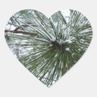 Pegatina En Forma De Corazón Snowy Pine Needles Winter Nature Photography