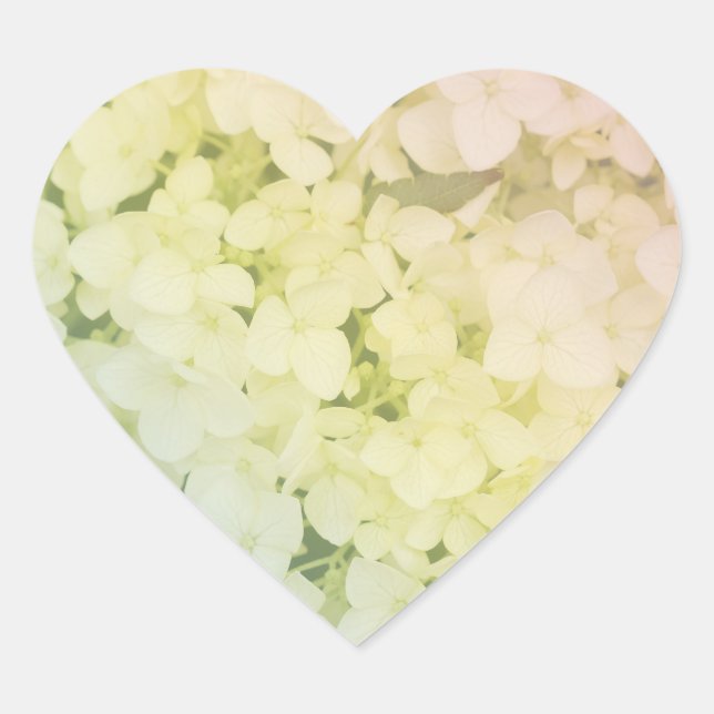 Pegatina En Forma De Corazón  Soft Pastel Rainbow Hydrangea (Anverso)