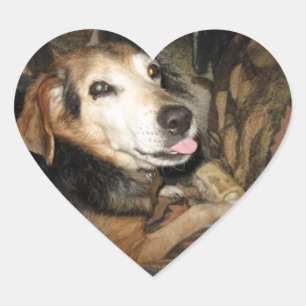 Pegatina En Forma De Corazón Sparky