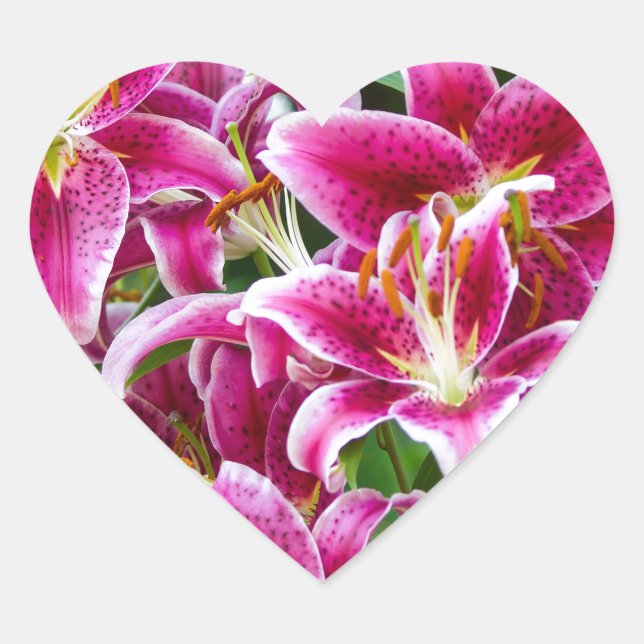 Pegatina En Forma De Corazón Stargazer Lilies (Anverso)
