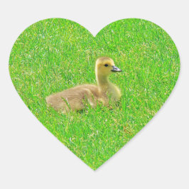 Pegatina En Forma De Corazón Sticker