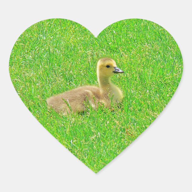 Pegatina En Forma De Corazón Sticker (Anverso)