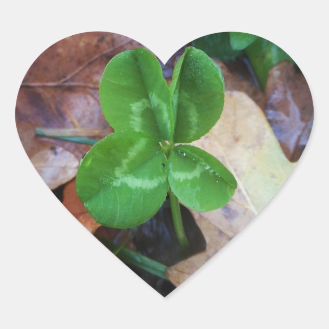 Pegatina En Forma De Corazón Sticker porte-bohneur (Anverso)