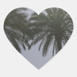 Pegatina En Forma De Corazón Sun Trees Egipto.