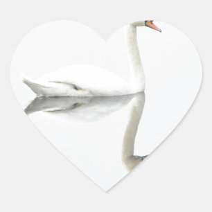 Pegatina En Forma De Corazón Swan