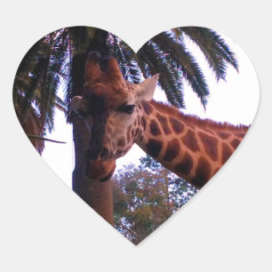 Pegatina En Forma De Corazón Tall Giraffe Tales Bajo El Árbol De Palma,