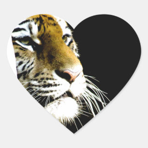 Pegatina En Forma De Corazón Tigre