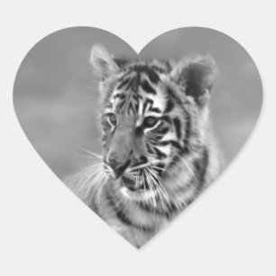 Pegatina En Forma De Corazón Tigre de bebé en blanco y negro