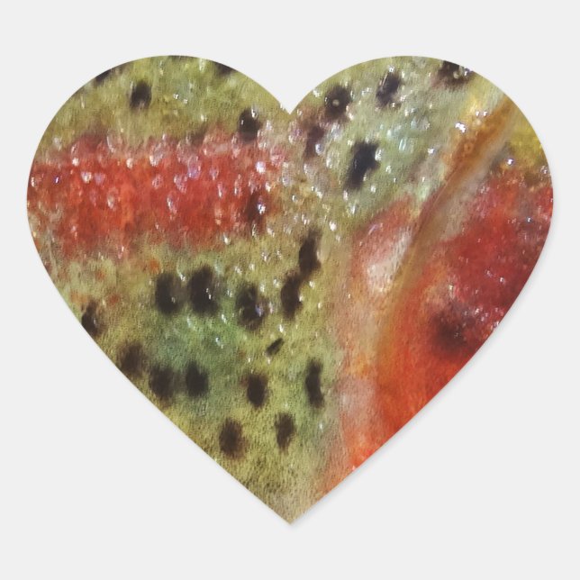 Pegatina En Forma De Corazón Trucha en Manos (Anverso)