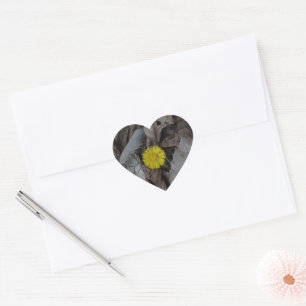 Pegatina En Forma De Corazón Tussilago farfara Uña de caballo Flor amarilla