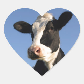 Pegatina En Forma De Corazón Vaca atractiva