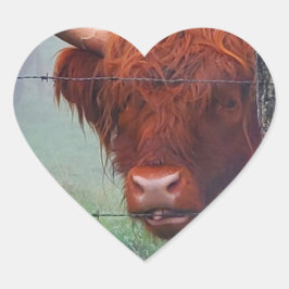 Pegatina En Forma De Corazón Vaca Highland Morder Una cerca de alambre