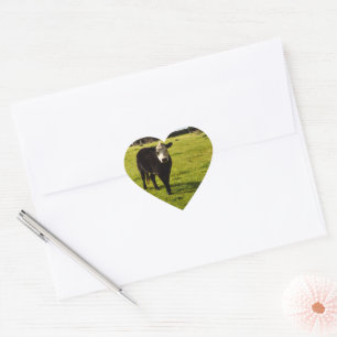 Pegatina En Forma De Corazón Vaca Negra Con Cara Blanca Y Mohawk,