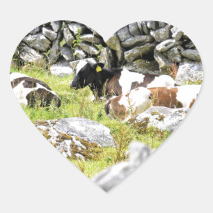 Pegatina En Forma De Corazón Vacas mugiendo