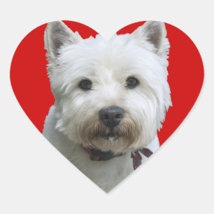 Pegatina En Forma De Corazón West Highland Terrier