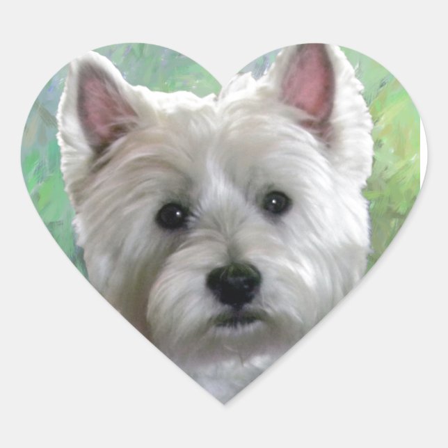 PEGATINA EN FORMA DE CORAZÓN WESTIE (Anverso)