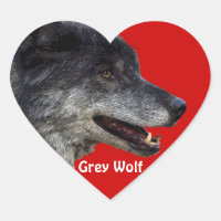 Wildlife Gray Wolf Animal lover design
