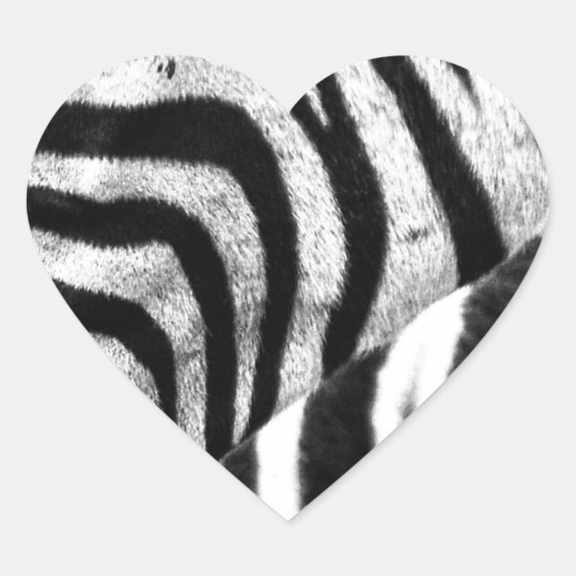 Pegatina En Forma De Corazón Zebra Face (Anverso)