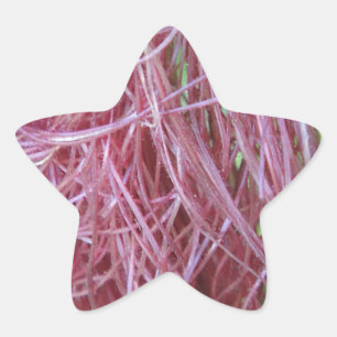PEGATINA EN FORMA DE ESTRELLA 056.JPG