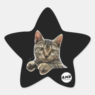 Pegatina En Forma De Estrella Adesivo