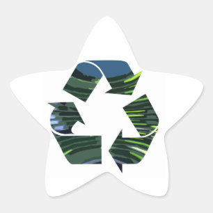 Pegatina En Forma De Estrella Adoramos el ambiente verde Campeón de reciclaje nv