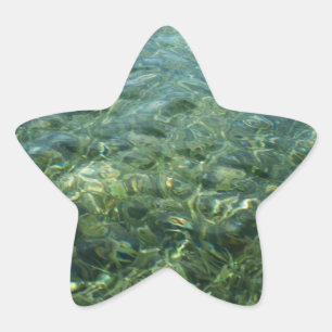 Pegatina En Forma De Estrella Agua sobre hierba marina I Naturaleza caribeña