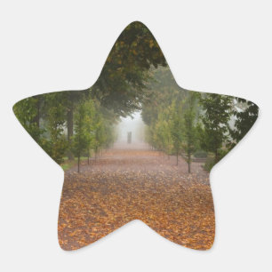 Pegatina En Forma De Estrella Alley en niebla