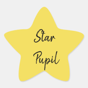 Pegatina En Forma De Estrella Alumno Estrella