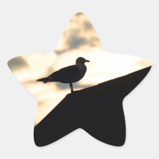 Pegatina En Forma De Estrella Amanecer de las gaviotas marinas