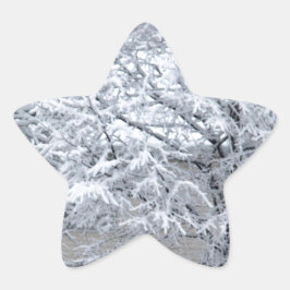 Pegatina En Forma De Estrella Árbol de nieve