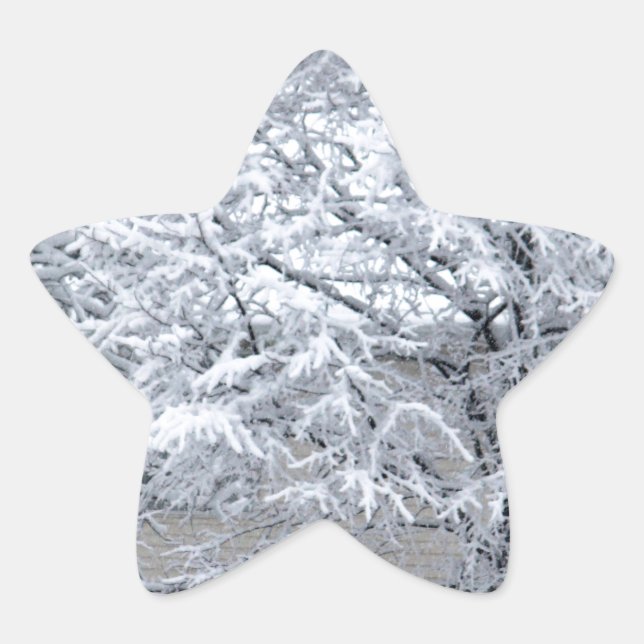 Pegatina En Forma De Estrella Árbol de nieve (Anverso)