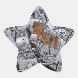 Pegatina En Forma De Estrella Árbol de nieve de ardilla