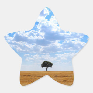 Pegatina En Forma De Estrella Árbol en un campo de trigo cosechado