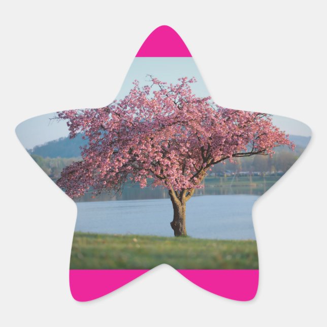 Pegatina En Forma De Estrella árboles en flor (Anverso)