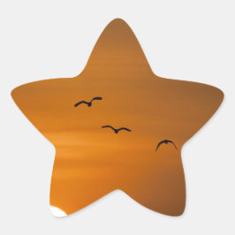 Pegatina En Forma De Estrella Aves volando al atardecer