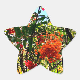 Pegatina En Forma De Estrella Bayas amarillas y rojas