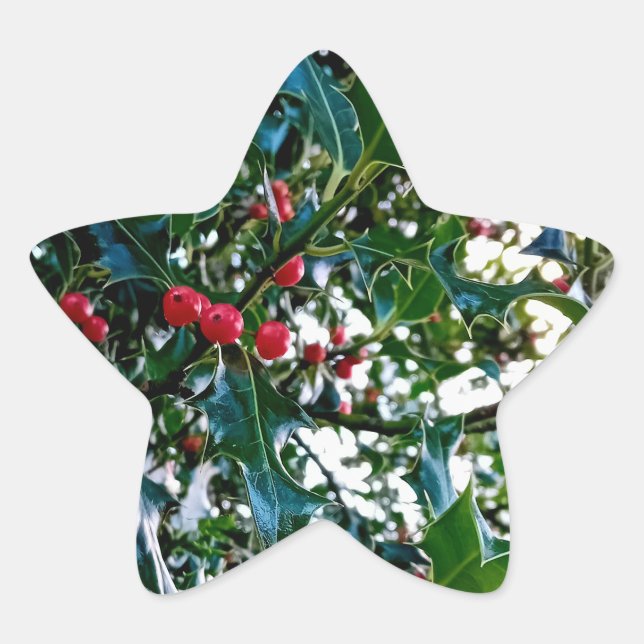 Pegatina En Forma De Estrella Bayas rojas, con hollín (Anverso)