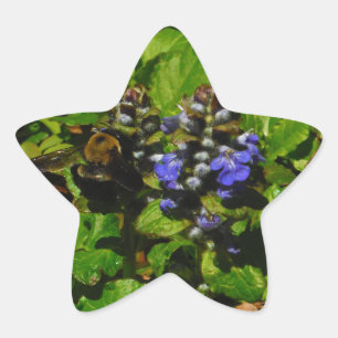 Pegatina En Forma De Estrella Bee de abejas moradas y abeja de burbujas