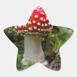 Pegatina En Forma De Estrella Belleza de otoño