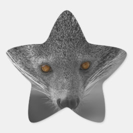 Pegatina En Forma De Estrella Binturong Mirándote