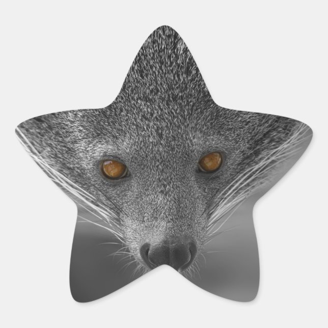 Pegatina En Forma De Estrella Binturong Mirándote (Anverso)