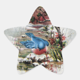 Pegatina En Forma De Estrella Bluebirds en navidad del vintage del invierno