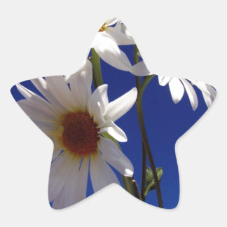 Pegatina En Forma De Estrella Bonito Daisies