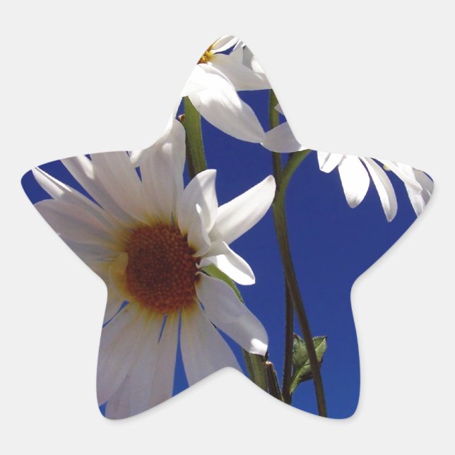 Pegatina En Forma De Estrella Bonito Daisies (Anverso)