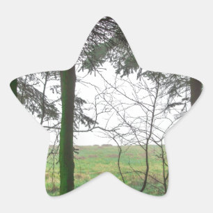 Pegatina En Forma De Estrella Bosque con vistas al despeje en la niebla
