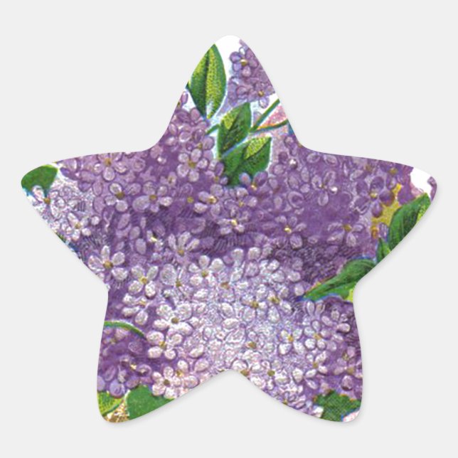 Pegatina En Forma De Estrella Bouquet de flores antiguas púrpura de Lilacs (Anverso)