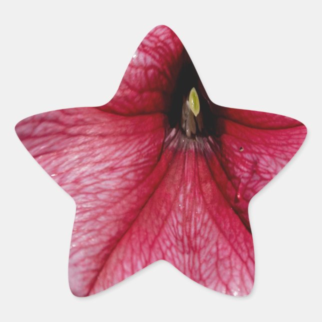 Pegatina En Forma De Estrella Brote floral (Anverso)